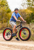 Image of Mongoose Dolomite Fat Tire Mountain Bike, Featuring 17-Inch/Medium High-Tensile Steel Frame, 7-Speed Shimano Drivetrain, Mechanical Disc Brakes, and 26-Inch Wheels, Light Blue, Navy Blue, and Red