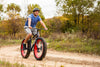 Image of Mongoose Dolomite Fat Tire Mountain Bike, Featuring 17-Inch/Medium High-Tensile Steel Frame, 7-Speed Shimano Drivetrain, Mechanical Disc Brakes, and 26-Inch Wheels, Light Blue, Navy Blue, and Red
